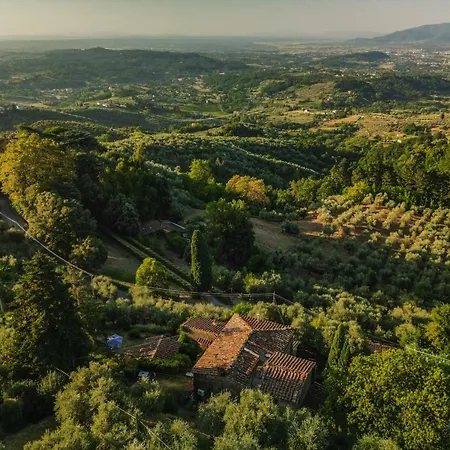 Orto Dei Bruchi * Collodi