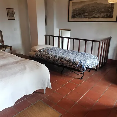 Orto Dei Bruchi * Lucca